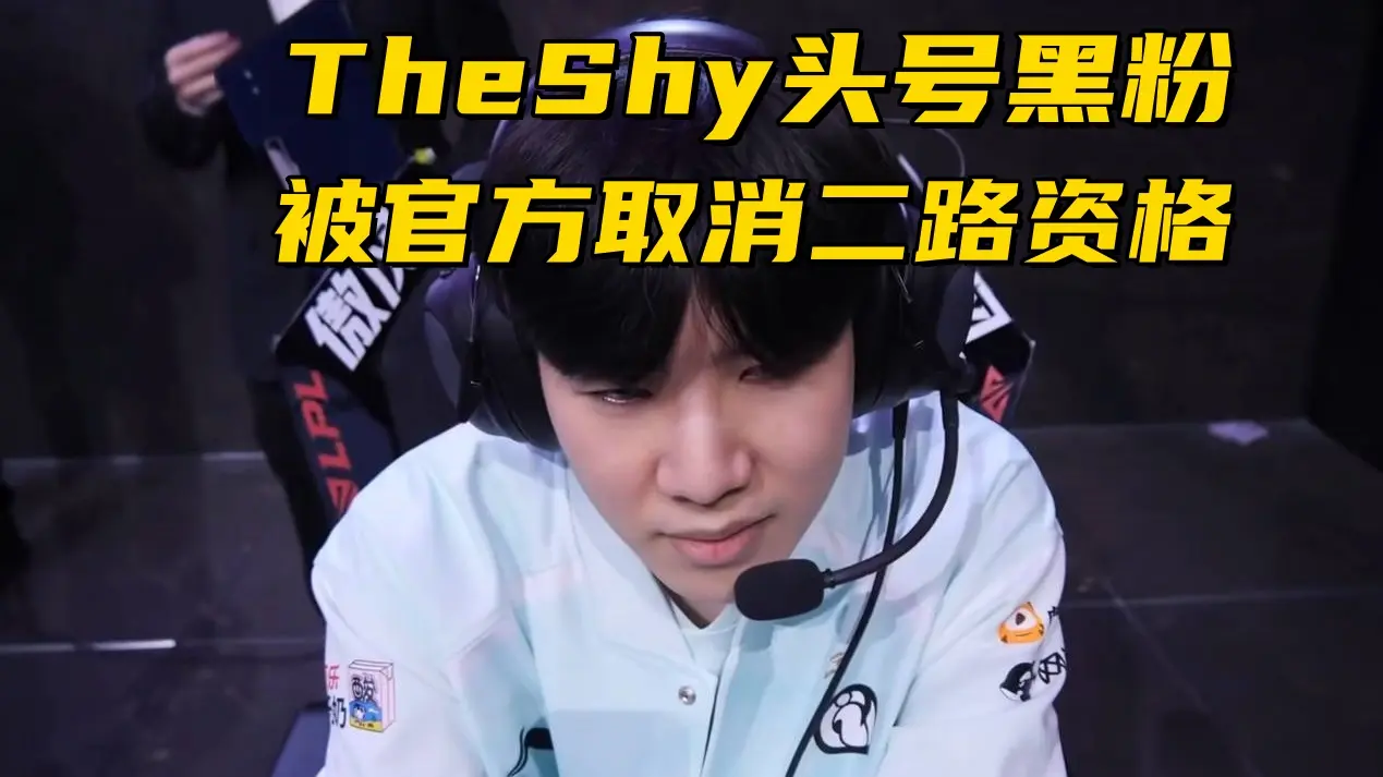TheSh, 不仅仅是维